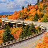 Fall Foliage Roadtrip