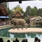 Denver Zoo
