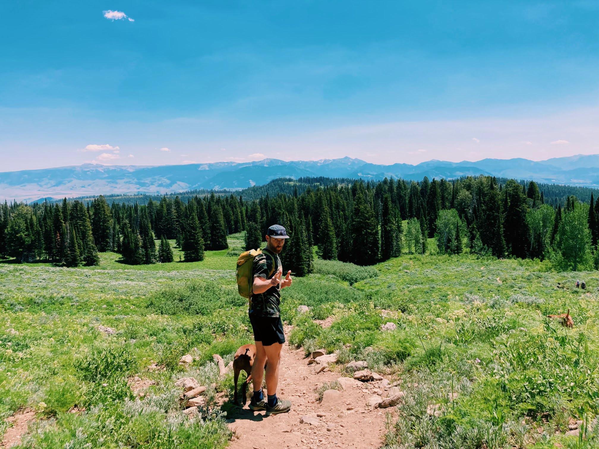 631f2d7d-7ae4-4972-9f28-3a1b2075805b