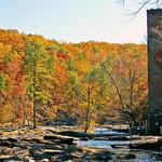 Sweetwater Creek State Park