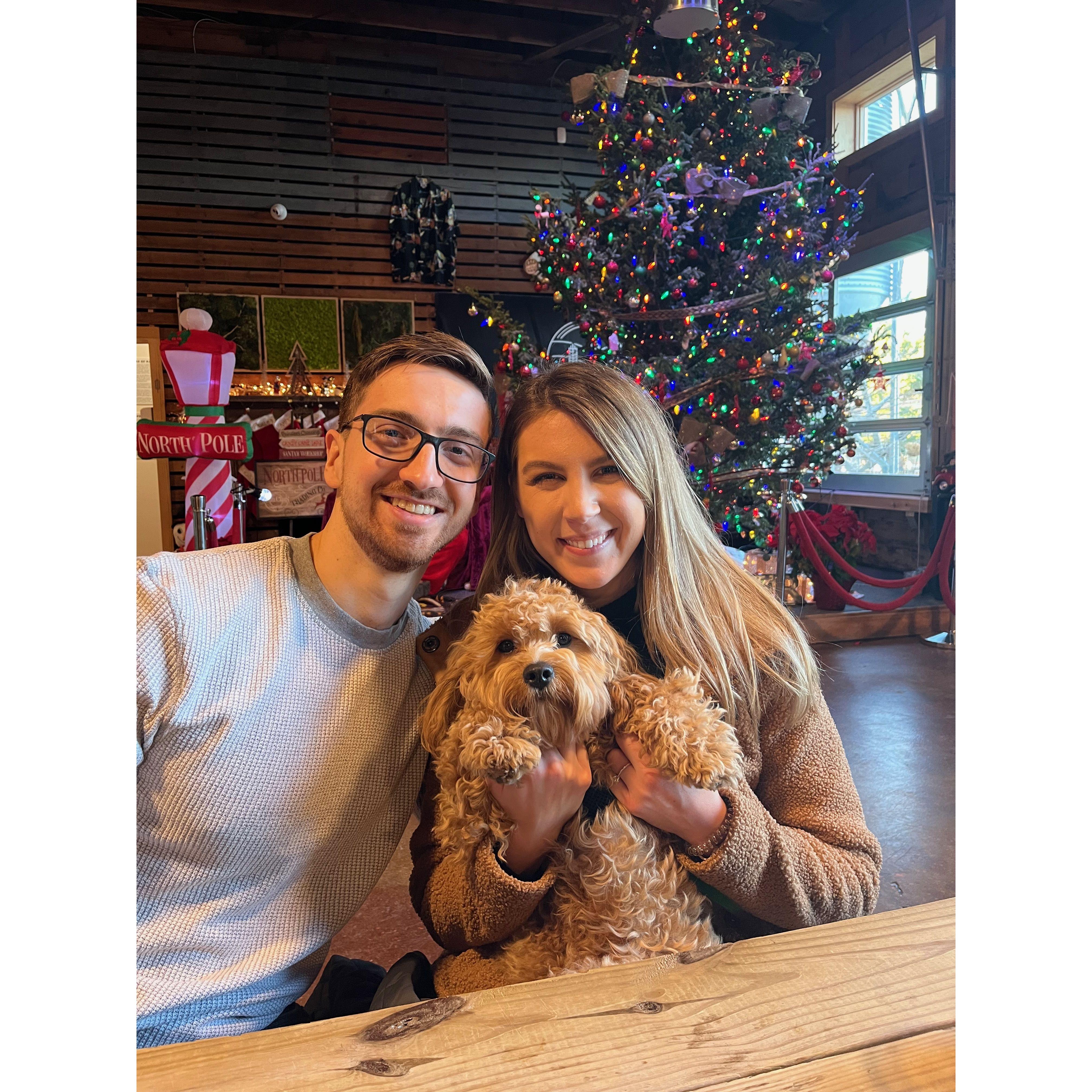 First Christmas as pawrents!