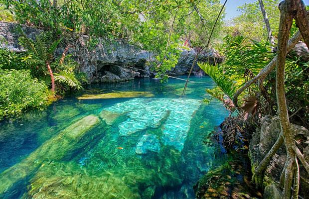 The Wedding Website of Ozzie Aguilar and Bryan Cross