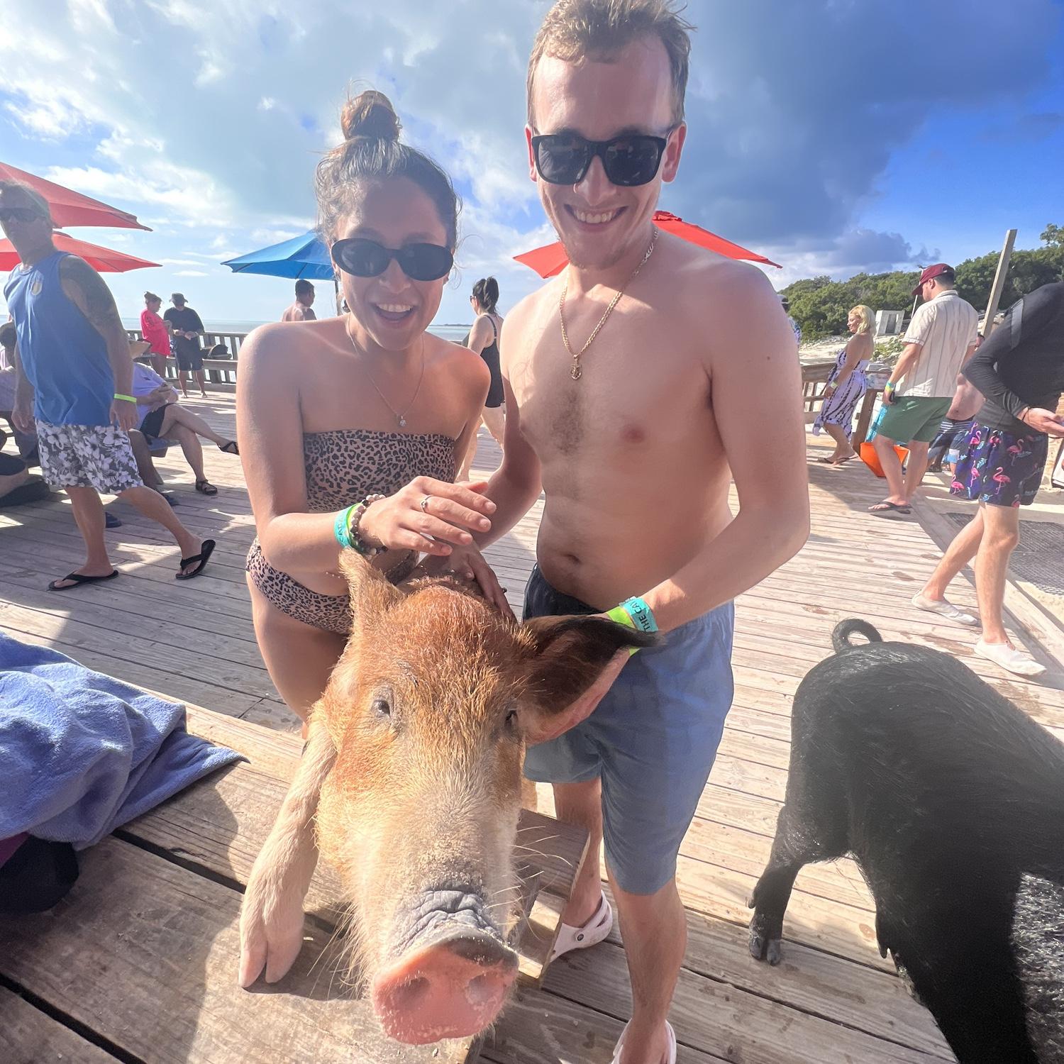 Went swimming with the pigs in Bahamas 🐷 🌊