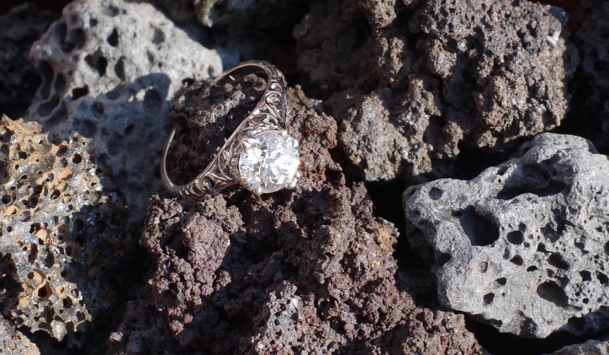 Hero Slideshow Image 4