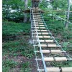Pocono TreeVentures