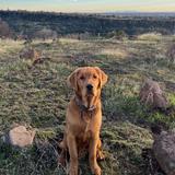 Upper Bidwell Park