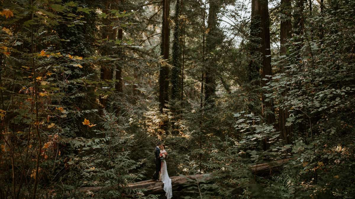 Fancy Free Photography | Wedding Photographers | Cost, Reviews & Photos ...