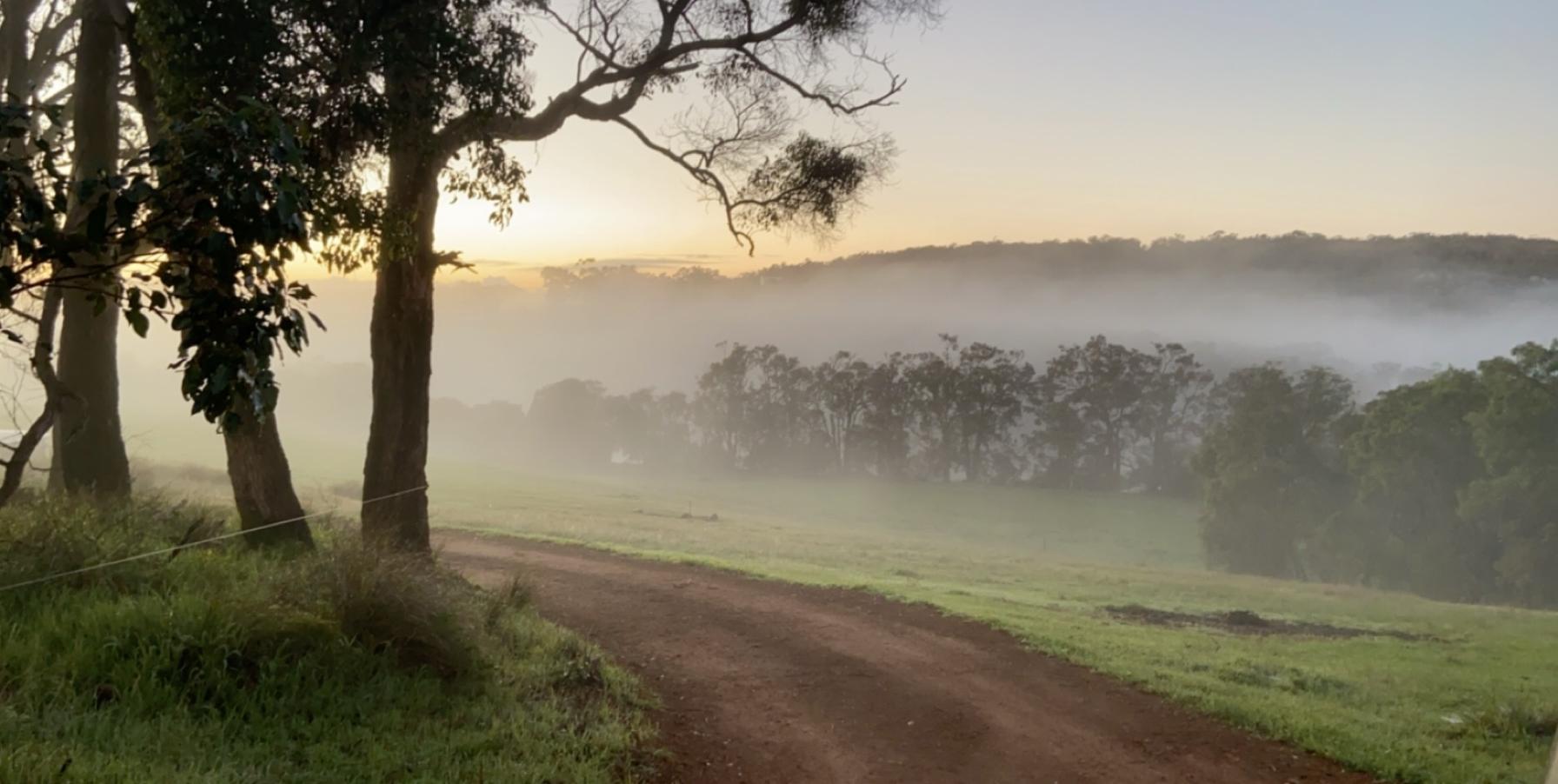 The Wedding Website of Rebecca Gallimore and Darren Parkes