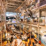 National Museum of Scotland