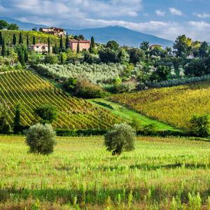 Italy Honeymoon Fund