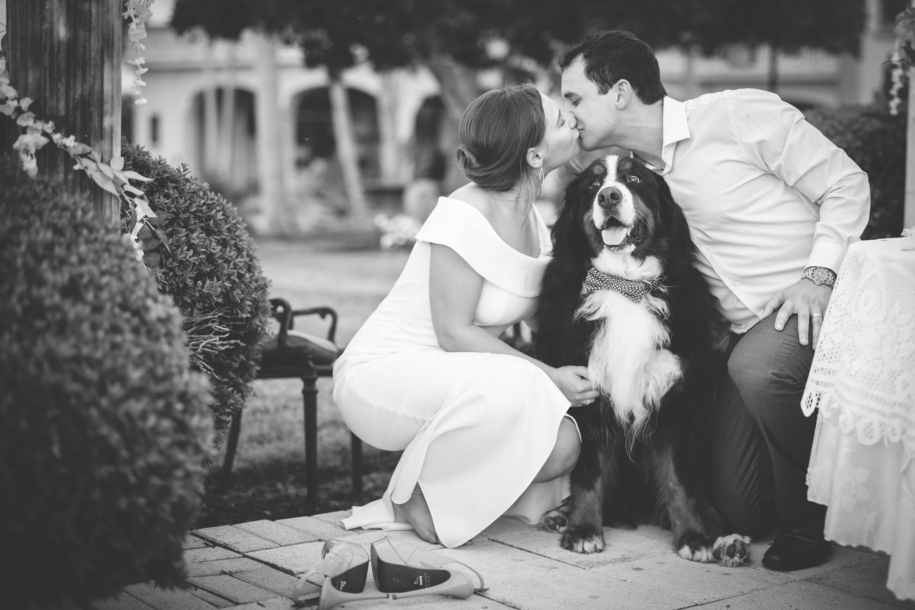 The Wedding Website of Christina Stamatiou and Alexander Politis