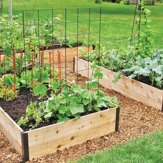 Kivi’s garden seeds and trellises :)
