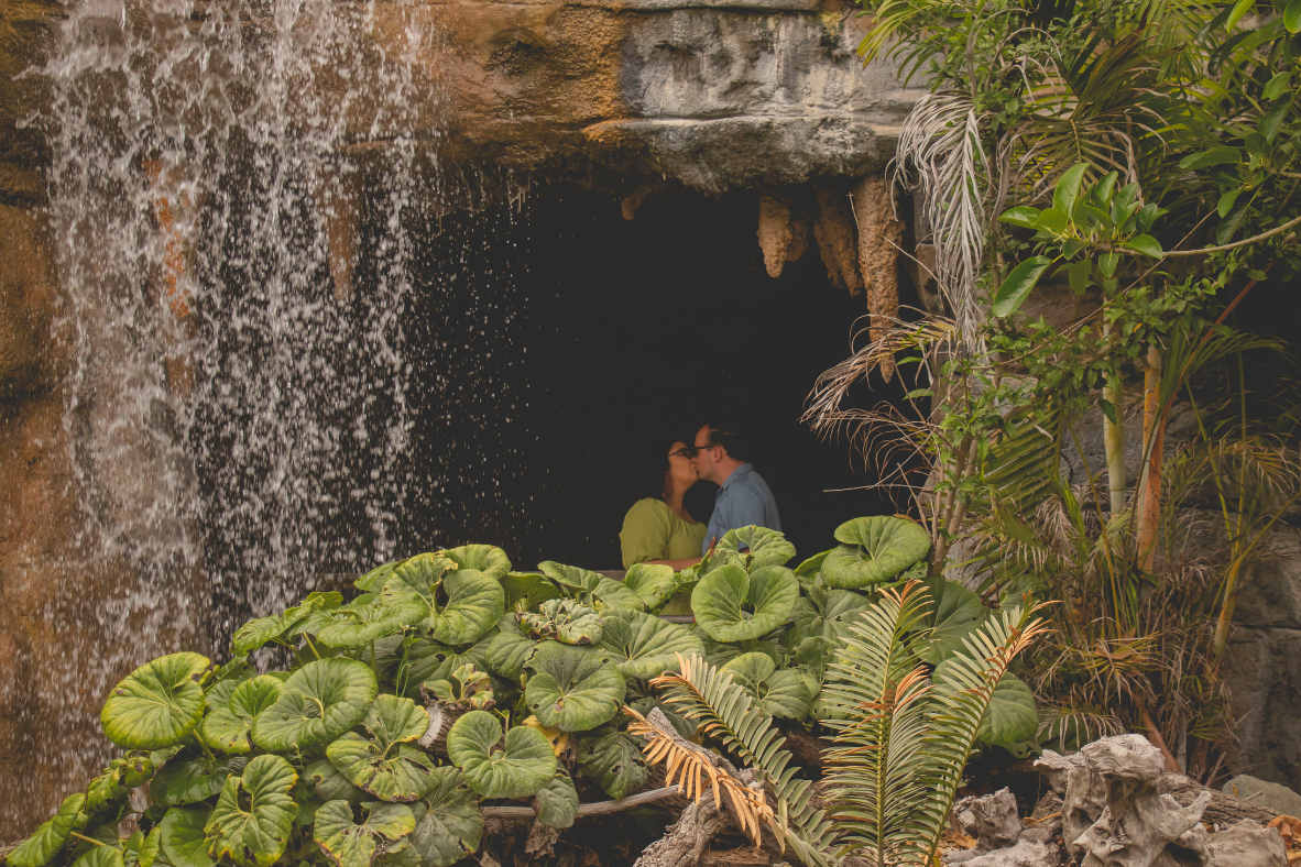 The Wedding Website of Maricruz Flores and John Michael Strauss