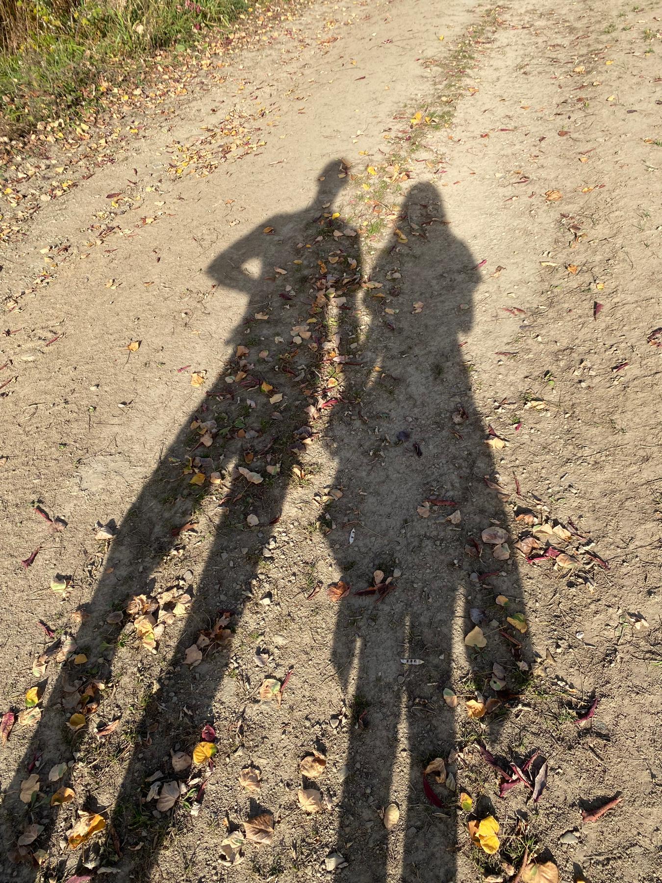 10/30 - Our shadow pictures continue!