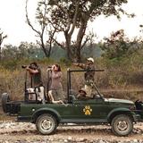 Jim Corbett Jungle Safari