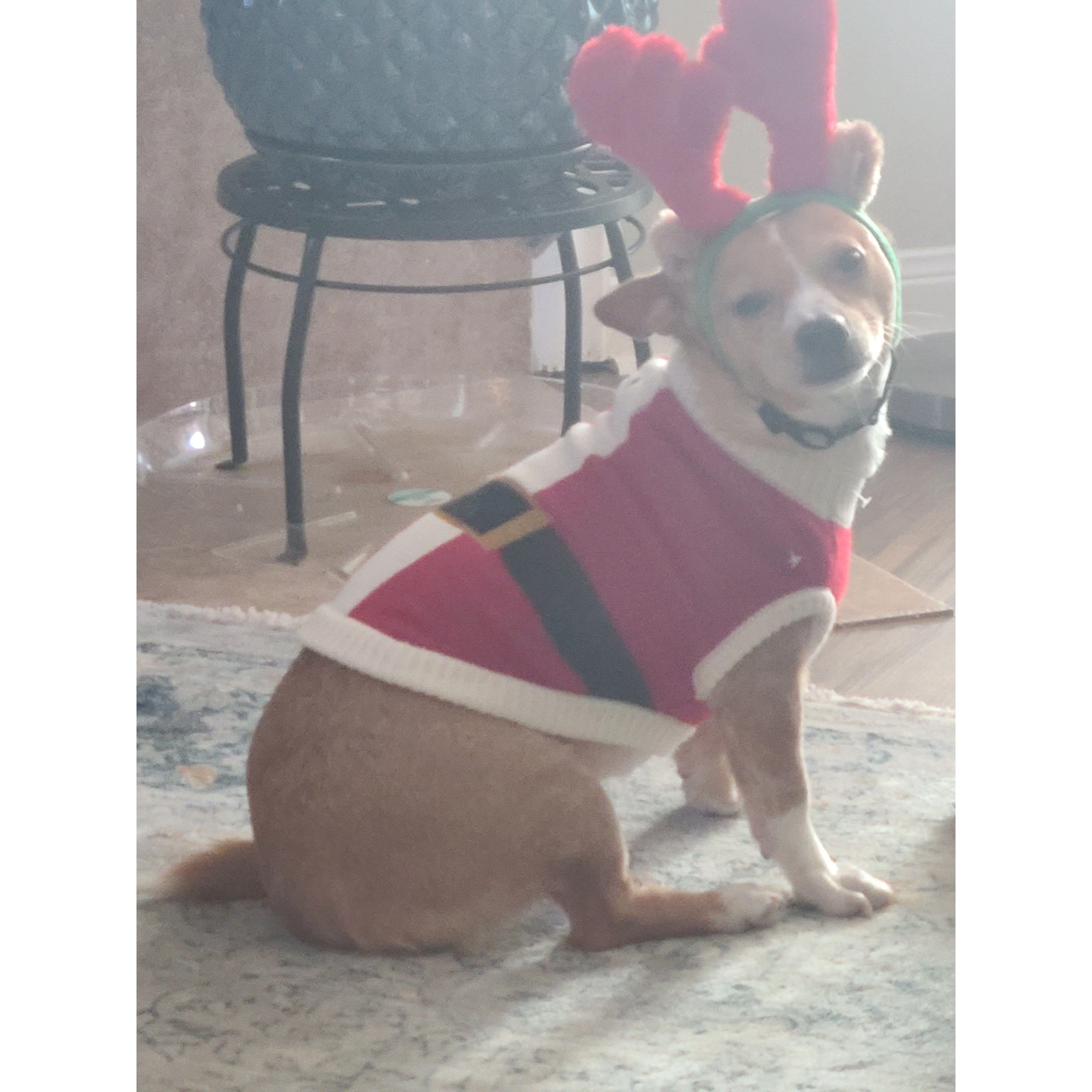 "Loves" the Christmas outfit