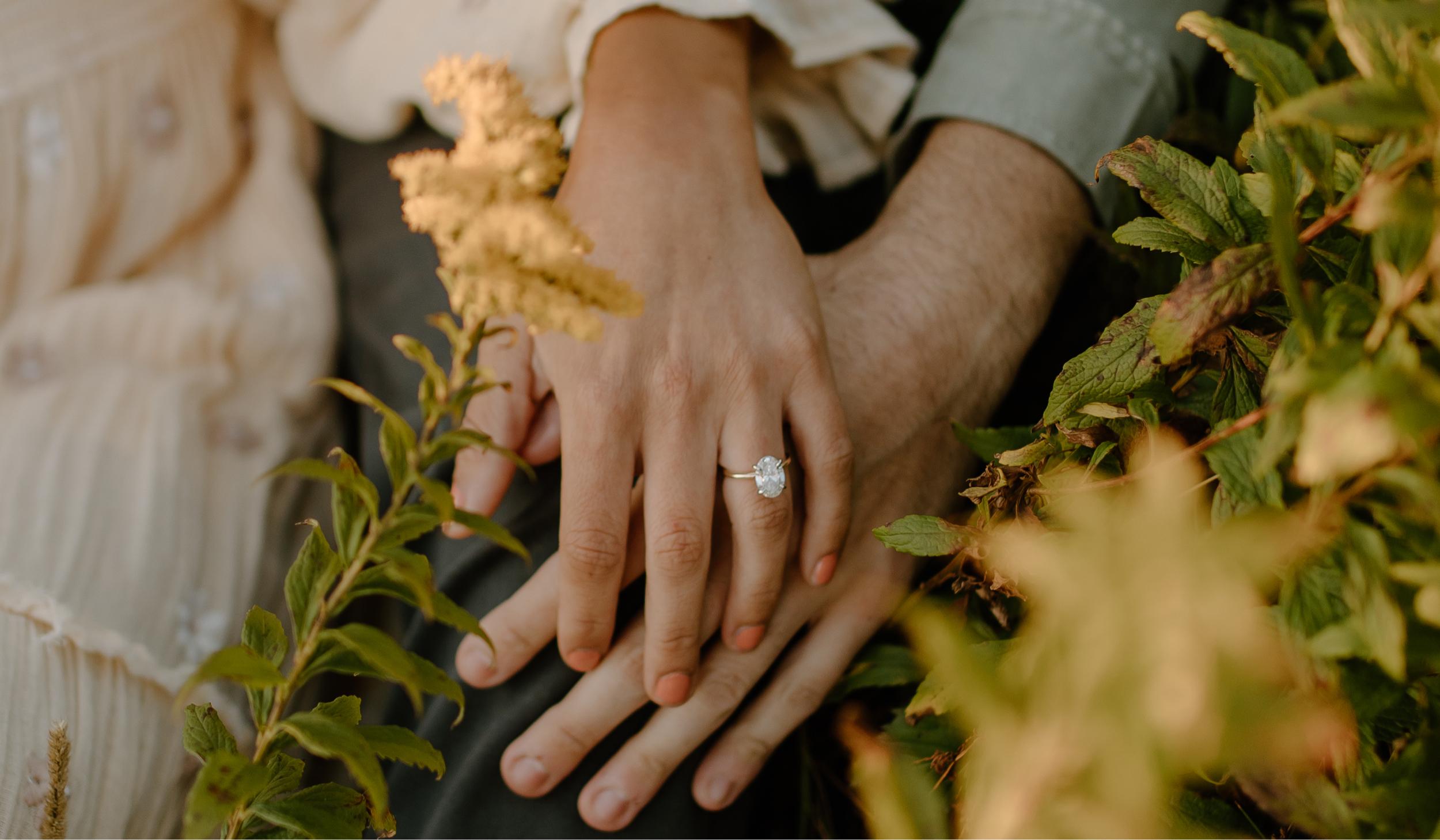 The Wedding Website of Carly Grace Palmer and Andrew James Carson