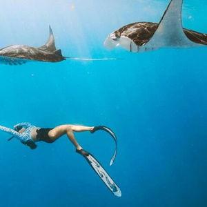 Snorkeling With Mantas in Bali