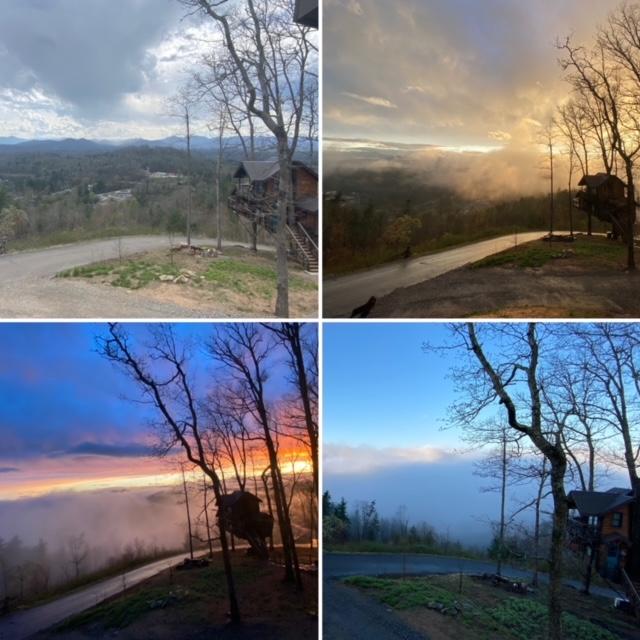 April 9-11, 2021: Celebrated our 40th birthdays and our 1st anniversary in a Tree House in Asheville. It was the most perfect weekend in every way.