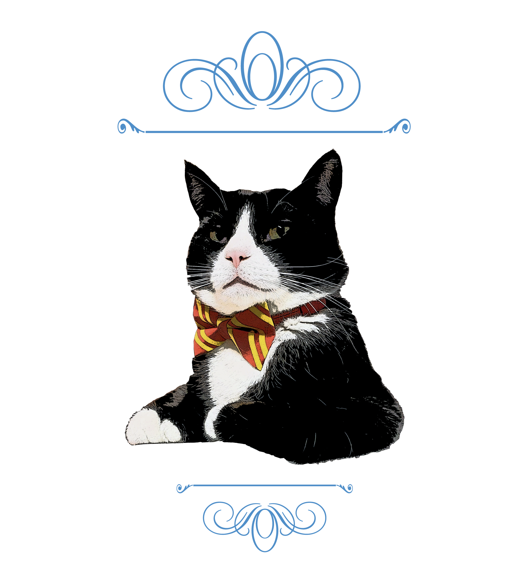 The Wedding Website of Laura Cooper and Alex Korostinsky