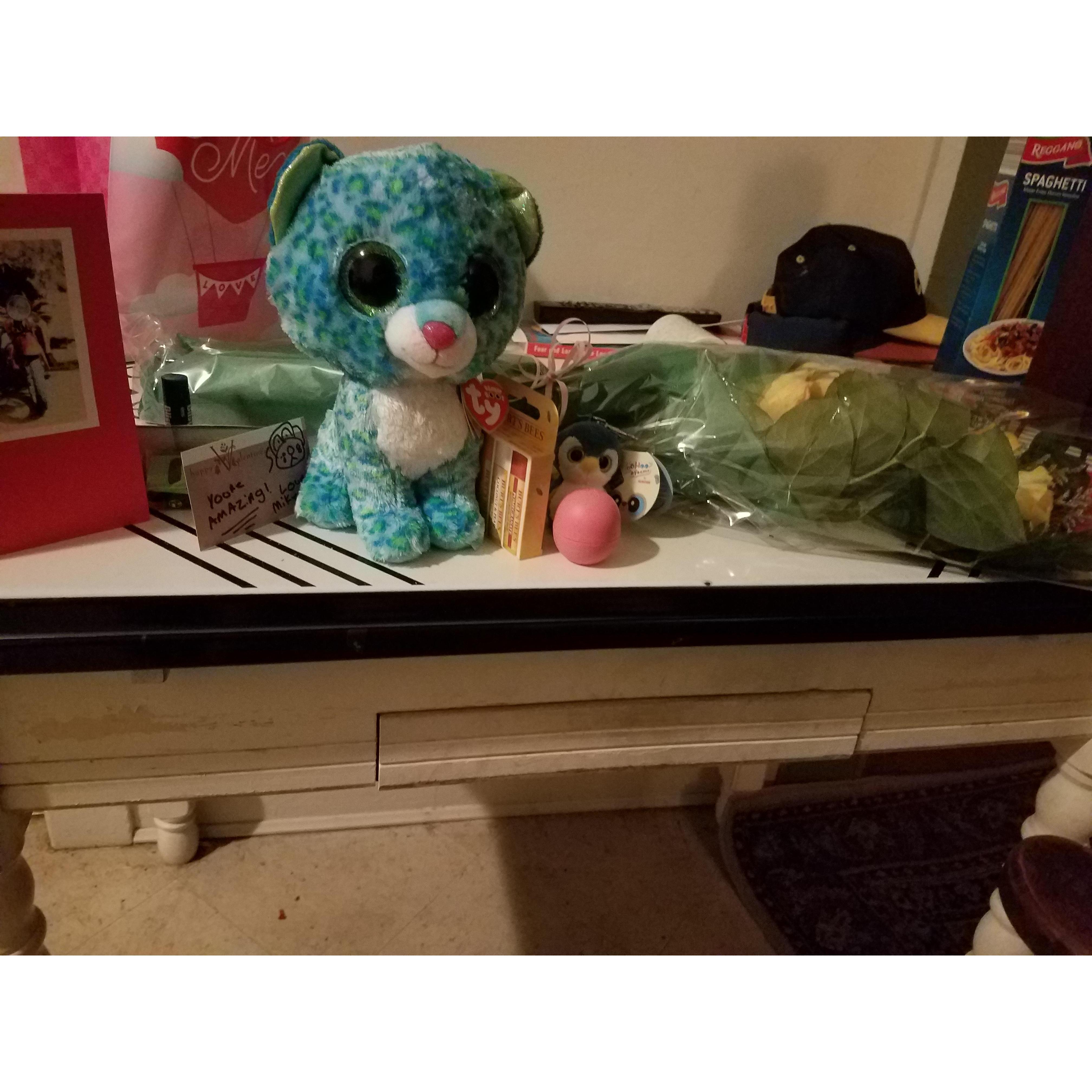 First Valentine's Day together! - February 14th, 2017
Mikey made dinner at his place (chicken parm) and then we went to the lake for a walk to the beach at night.