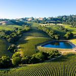 Napa Valley