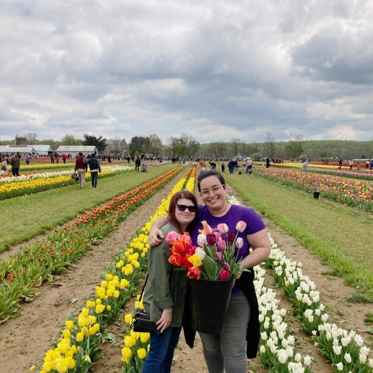 Picked some tulips
