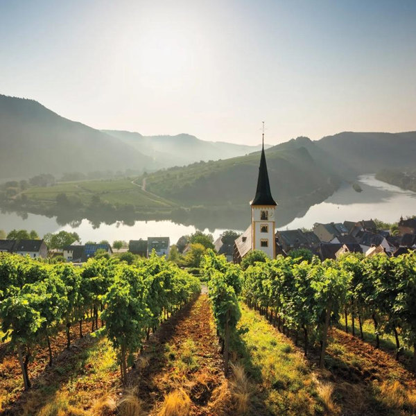 Wine Tasting in the Mosel