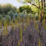 Sunnylands Center & Gardens