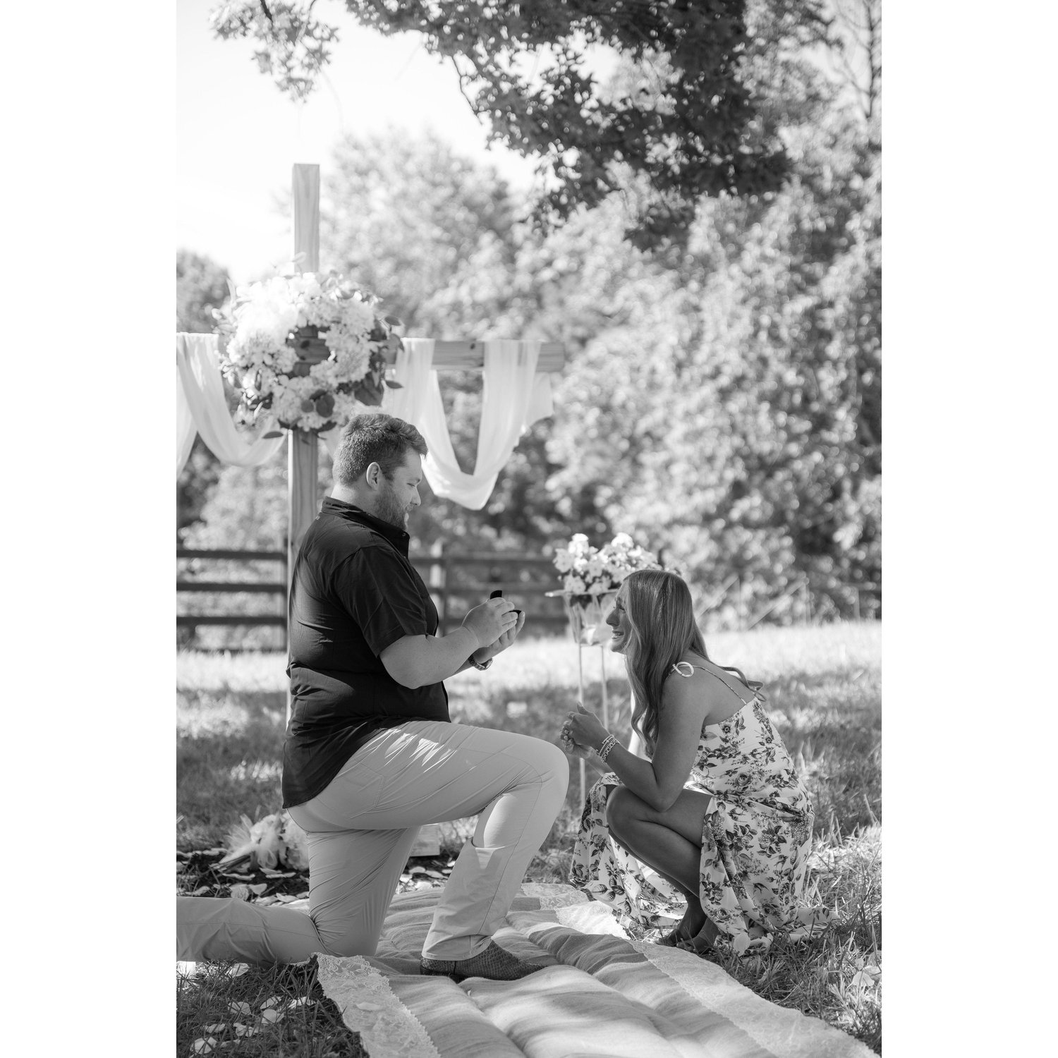 The Proposal!!! (8-30-25)
