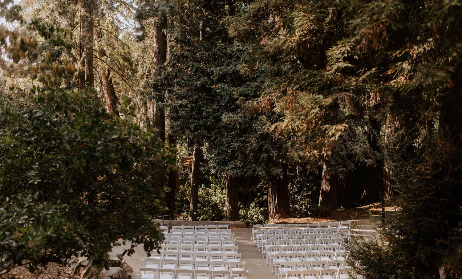 The Wedding Website of Adora McQuinn and Julius Polite