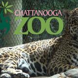 Chattanooga Zoo