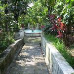 Jardín Borda | Borda Garden