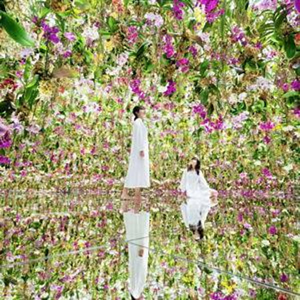 teamLab Planets Tokyo