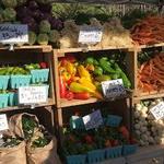 Holly Springs Farmers Market