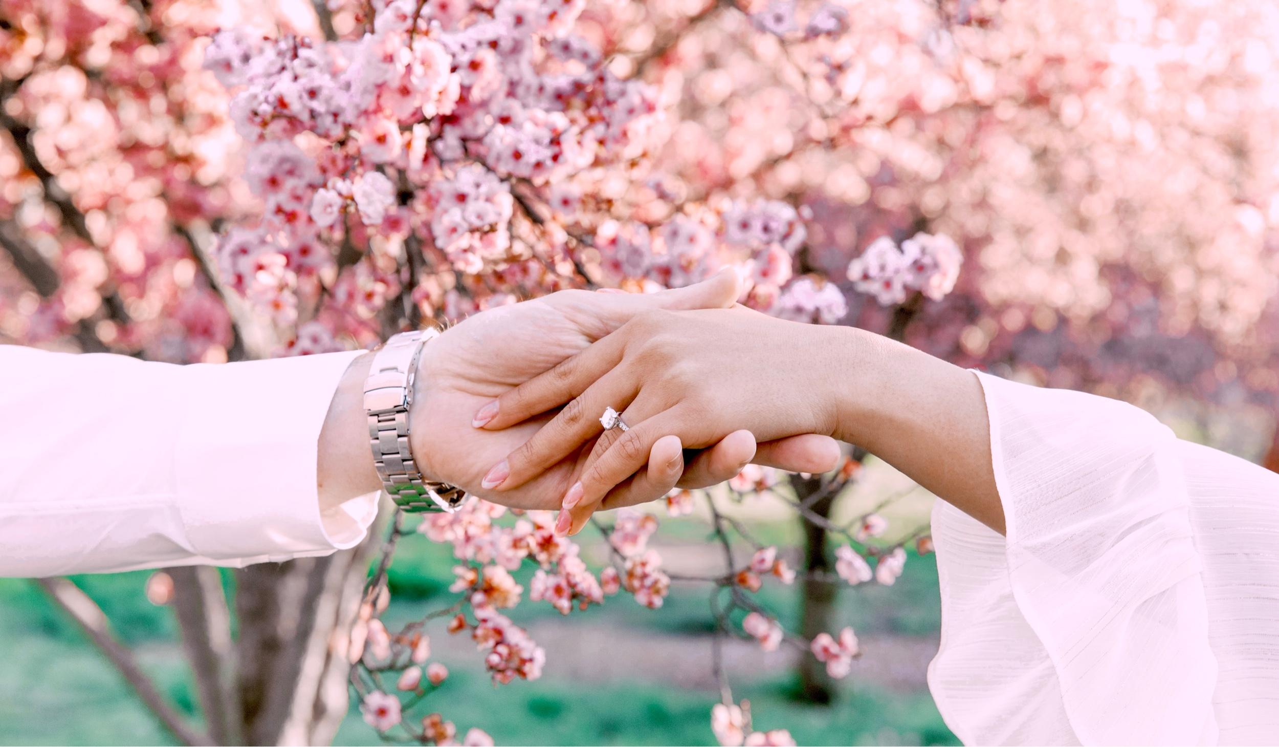 The Wedding Website of Karen Arabos and Richard Nolan