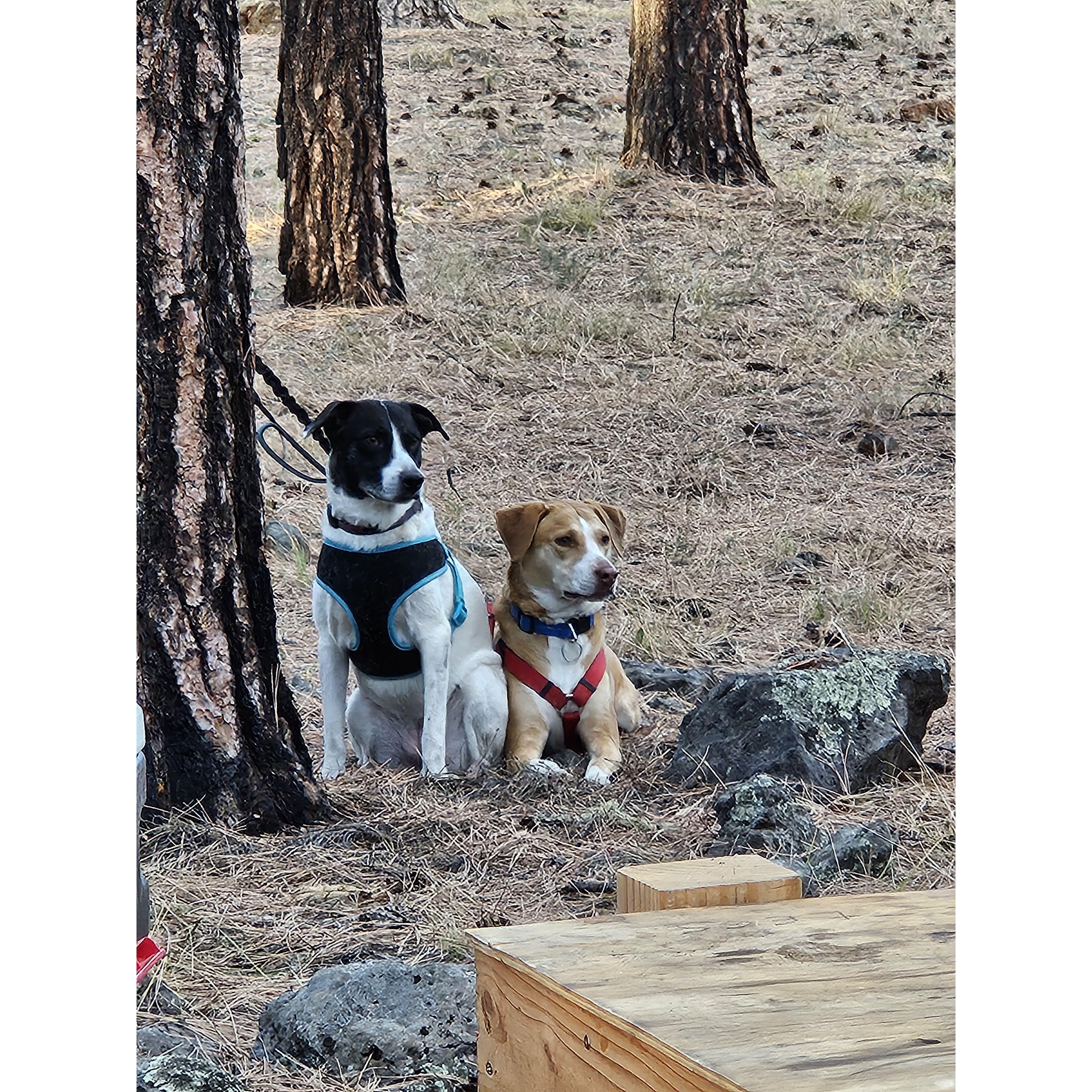 Girls just enjoying the outdoors!