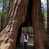 Yosemite National Park