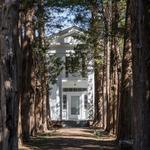 Rowan Oak