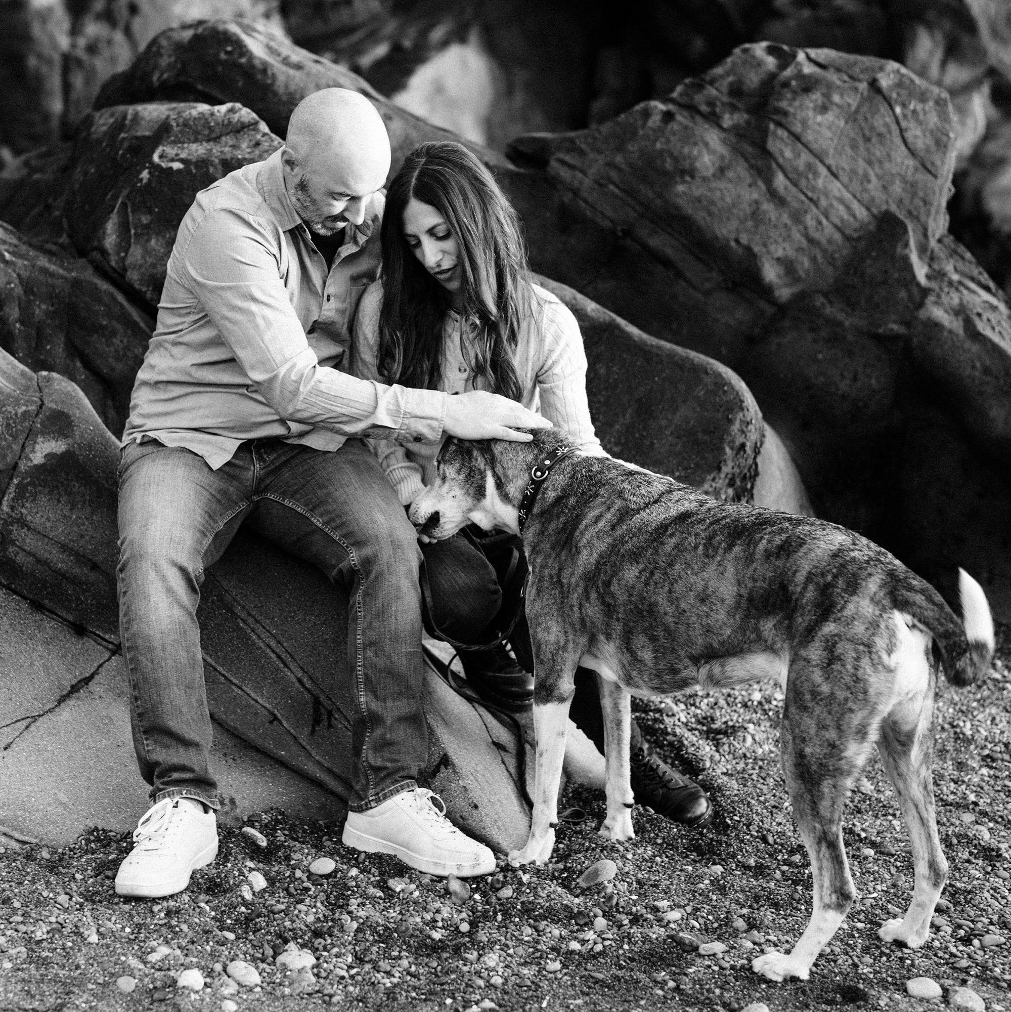 Photo by our friends at the Labs & Co