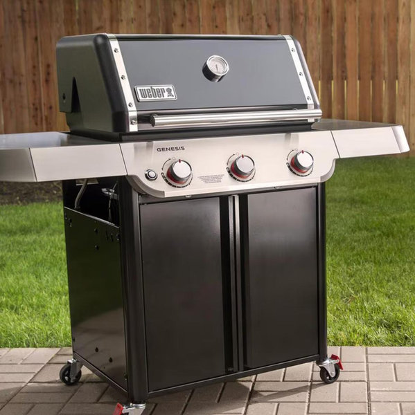 Webber Grill