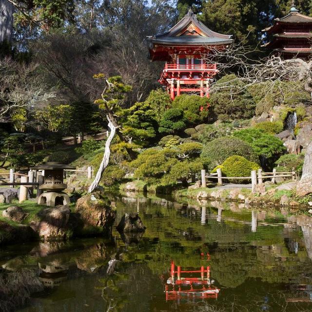 Family/Dual Membership | The Gardens of Golden Gate Park