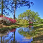 Callaway Gardens