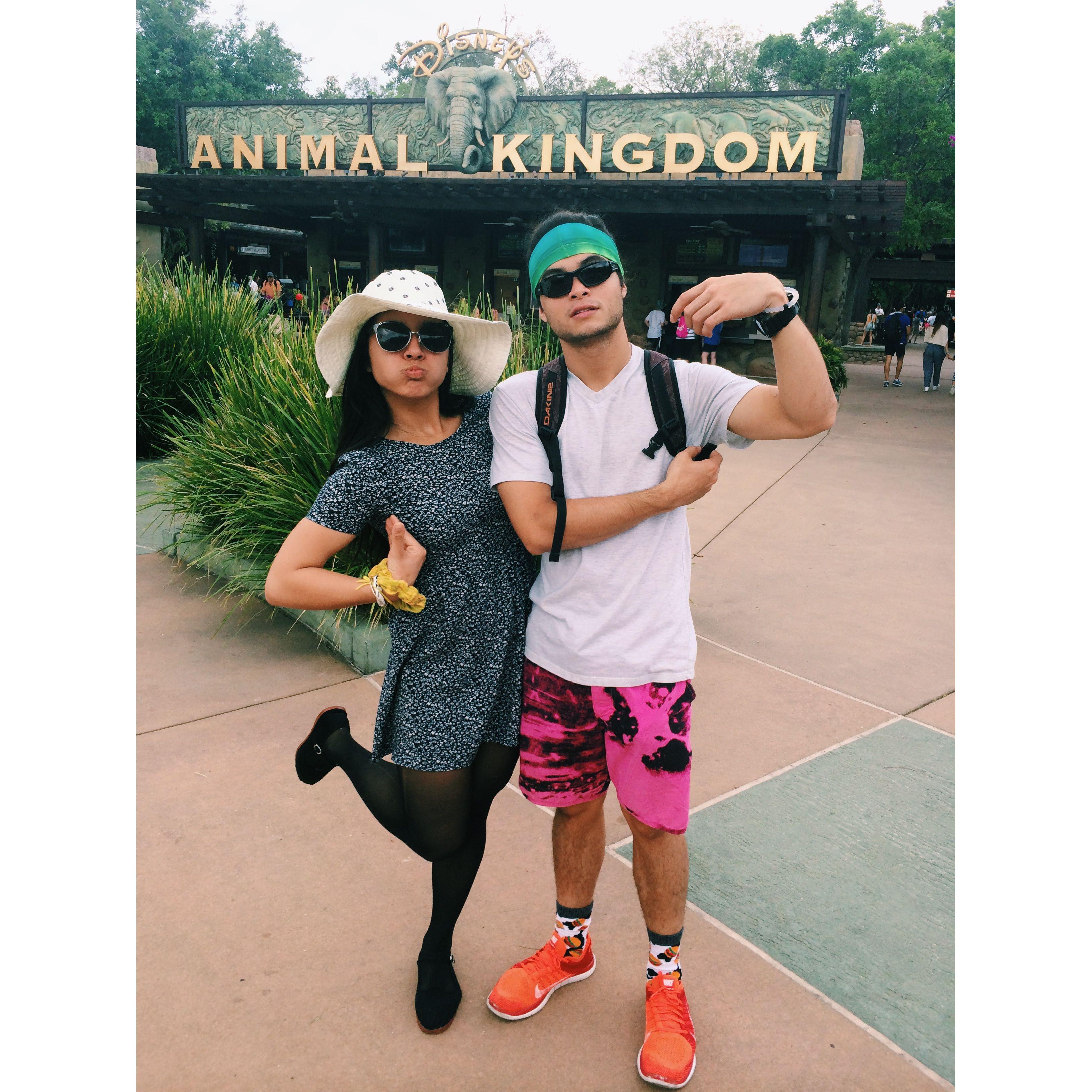 Disneywold - 2015