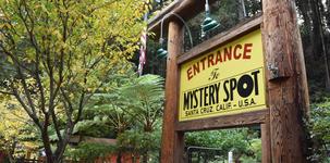 The Mystery Spot