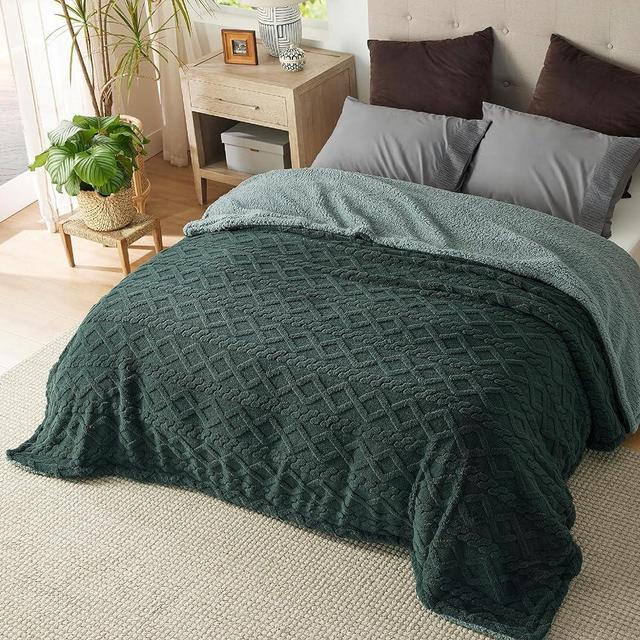Bedsure Sherpa Queen Size Blanket for Bed - Fuzzy Soft Cozy Blanket Queen Size, Fleece Thick Warm Blanket for Winter, Dark Green Fall Blanket, 90x90 Inches