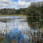 Alafia River State Park