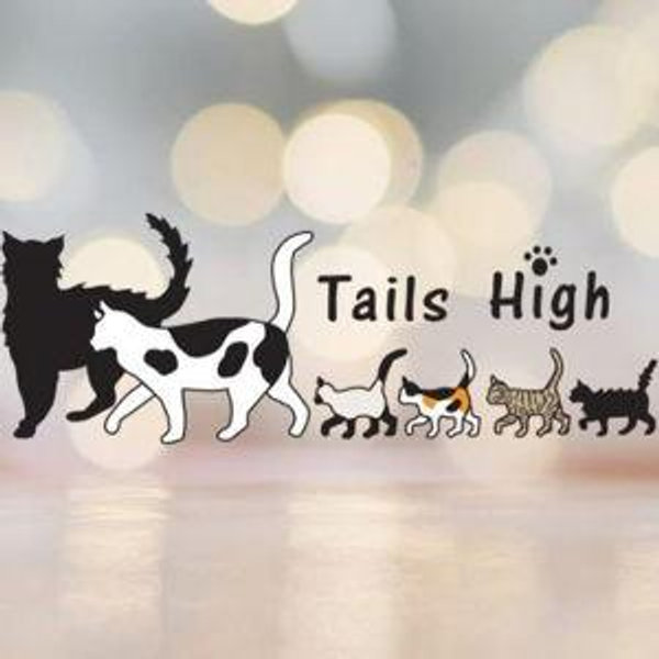 Tails High Cat Rescue