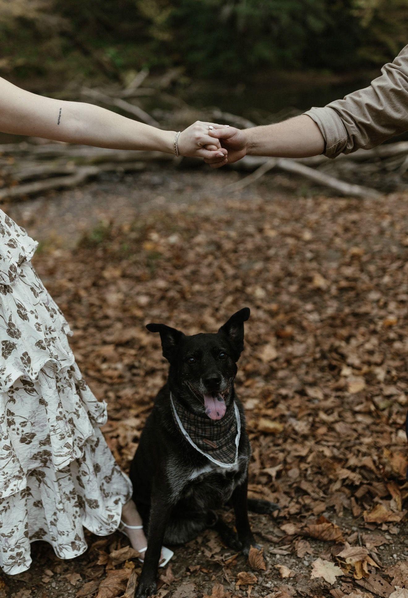 The Wedding Website of Alexis Rowe and Sam Baker