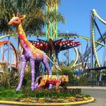 Six Flags Discovery Kingdom